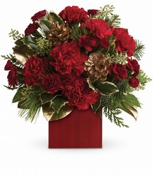 Laughter and Cheer by Teleflora from Swindler and Sons Florists in Wilmington, OH